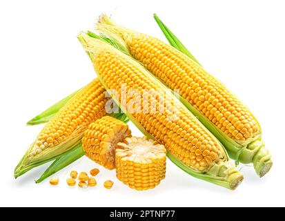 Maize cobs or corn cobs isolated on white background. Stock Photo