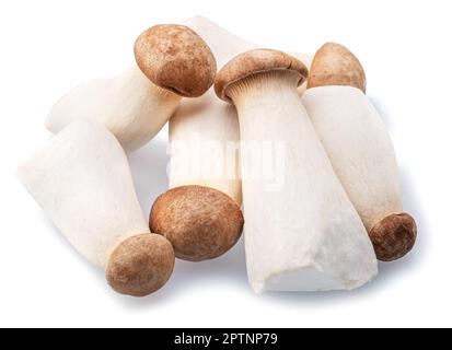 Baby eryngii mushrooms or royal oyster mushrooms isolated on white background. Stock Photo