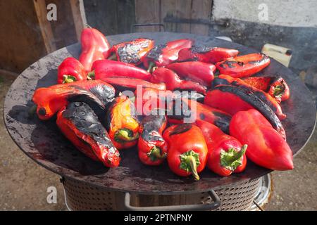 Roasting red peppers for a smoky flavor and quick peeling. Thermal processing of the pepper crop on metal circle. Brazier container used to burn charc Stock Photo