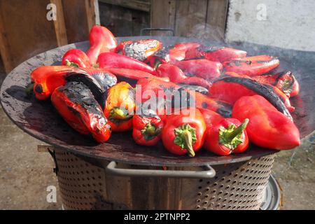 Roasting red peppers for a smoky flavor and quick peeling. Thermal processing of the pepper crop on metal circle. Brazier container used to burn charc Stock Photo