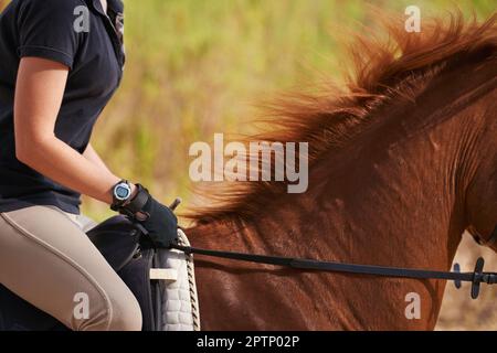 Ride like the wind. A cropped image of a woman rider on a chestnut horse Stock Photo