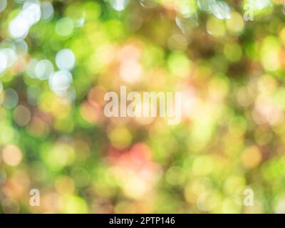 Beautiful blurred colorful autumn background. Bright abstract bokeh. Stock Photo
