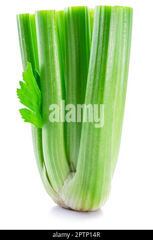 Fresh celery stalk isolated on white background. Stock Photo