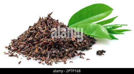 Heap of dried tea and fresh tea leaves isolated on white background. Stock Photo