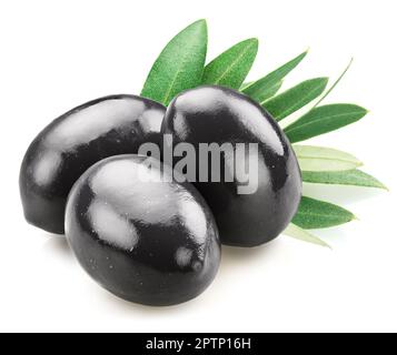 Three whole black olives with olive leaves isolated on white background. Stock Photo