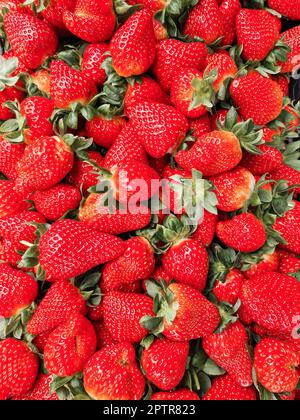 A display of fresh ripe strawberries with vibrant red color and green leaves. High angle view close-up. Strawberries background with concept of health Stock Photo