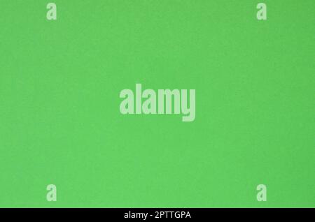 Texture background of fashion pastel color. Green geometric textured paper. Top view. Stock Photo