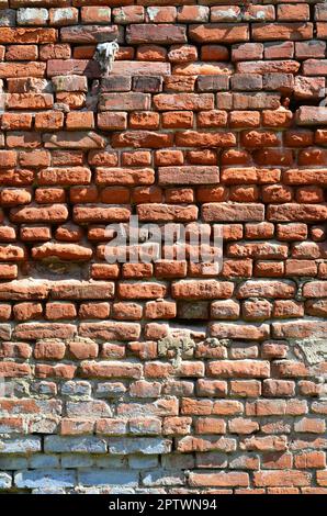 Vertical wall texture of several rows of very old brickwork made of red brick. Shattered and damaged brick wall with pinched corners Stock Photo