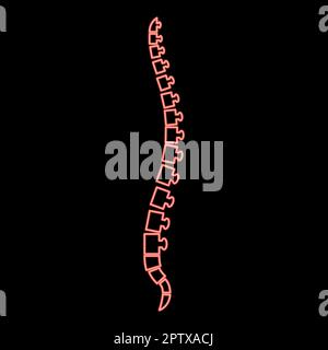 Neon spine human Spinal Lateral view Vertebras Dorsal vertebrae red color vector illustration image flat style Stock Vector