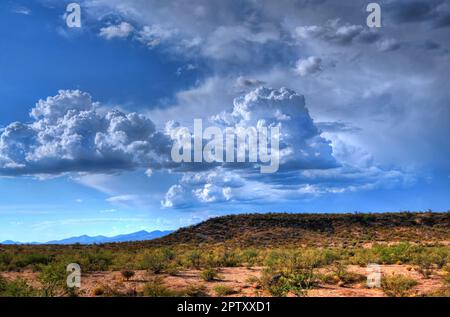 Storm clouds forming in the eastern Arizona desert Stock Photo