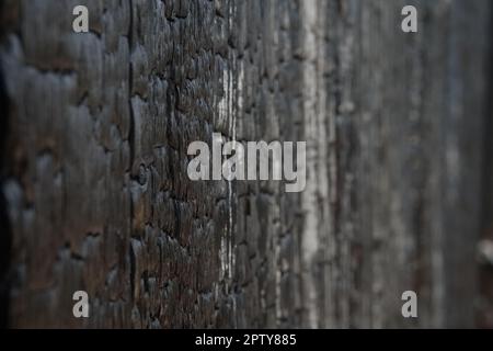 Burned boards or wooden wall, vertical texture Stock Photo