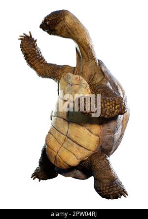 3D rendering of a sea turtle isolated on white background Stock Photo ...