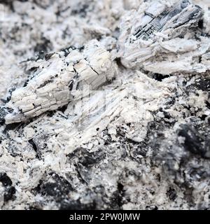 Pile of ashes after the fire went out grunge background texture. Burned out ashes close up outdoors in daylight Stock Photo