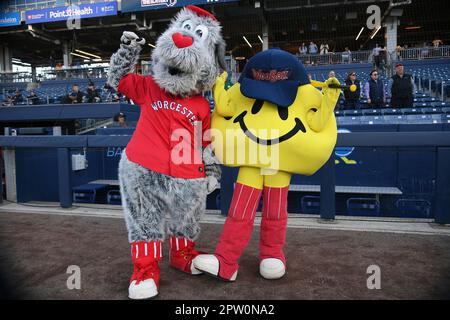 On National Dog Day, WooSox introduce Woofster as new companion mascot for  Smiley Ball 