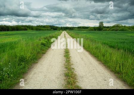 Long dirt road through green fields and cloudy sky Stock Photo