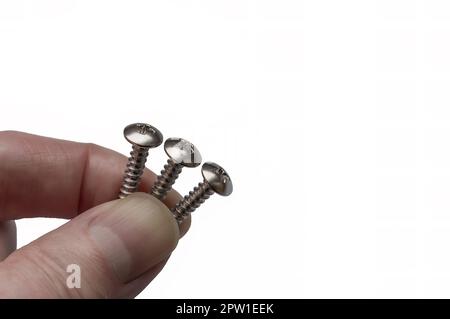 Man holding three stainless steel self-tapping screws in his hand. Isolated image on white background. Stock Photo