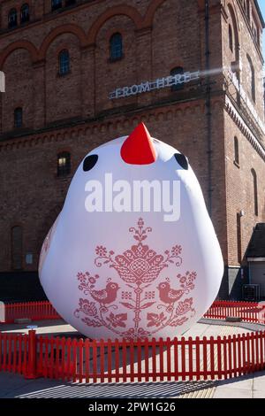 Soloveiko Songbird the national bird of Ukraine for Eurovision 2023 in Liverpool Stock Photo