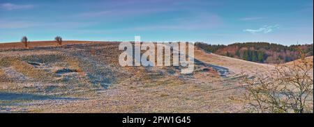 Barren desert hills with trees. Empty sandy mountain landscape with a pine forest in the background. Serene nature scene with no people. Lifeless moun Stock Photo