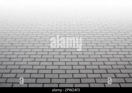 Photo of the site from the old paving slab with small defects and cracks, leaving in perspective. Street coverage of pedestrian areas and paths in par Stock Photo