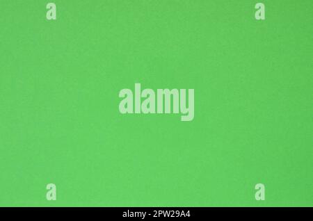 Texture background of fashion pastel color. Green geometric textured paper. Top view. Stock Photo