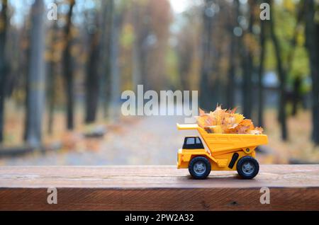 A small toy yellow truck is loaded with yellow fallen leaves. The car stands on a wooden surface against a background of a blurry autumn park. Cleanin Stock Photo