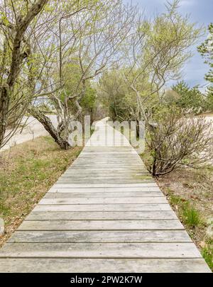 wooden boardwalk that leads to an ocean beach in the hamptons Stock Photo