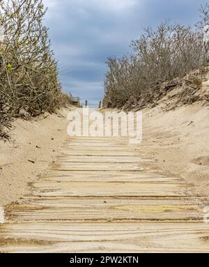 wooden boardwalk that leads to an ocean beach in the hamptons Stock Photo