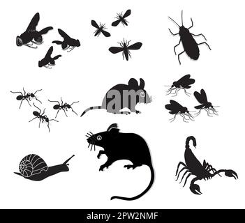 Bugs and pests, isolated on white, illustration Stock Vector