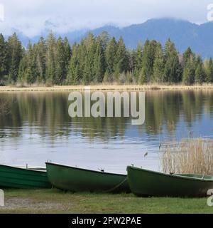 three green Rowing boats decoratively pulled onto the Shore Stock Photo