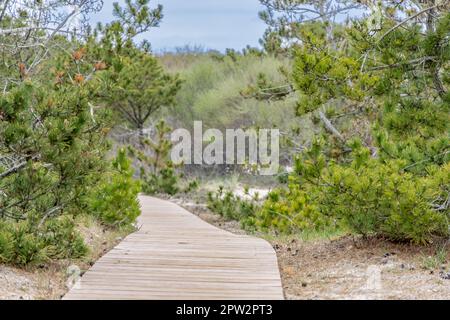 wooden boardwalk that leads to an ocean beach in the hamptons Stock Photo
