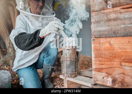 Beekeeper, bee suit and smoke, fog and smoking a beehive box outdoor on a farm, working and safety protection. Agriculture work, senior woman and farm Stock Photo