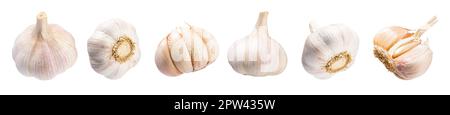 Falling peeled garlic cloves isolated on white background with clipping path. Food and spices objects for design, advertising, menu and recipes. Spicy Stock Photo