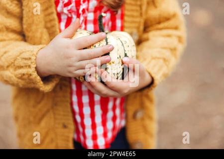 Crop female in casual checkered shirt holding orange mini pumpkin in hands Stock Photo