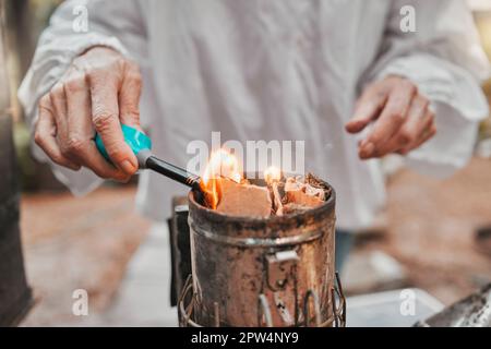 Hands, fire and beekeeping with a woman farmer using a smoker in the production of honey in the countryside. Agriculture, farm and sustainability with Stock Photo