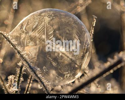 soap bubble on which ice crystals have formed due to the frost. in the light of the setting sun. filigree patterns are created on the soap bubble due Stock Photo