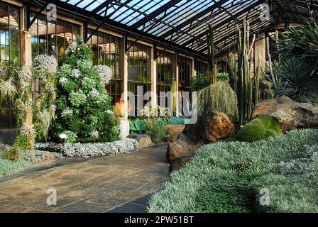 A display of cactus and other plants show the beauty of the desert world in a greenhouse at Longwood Gardens Stock Photo