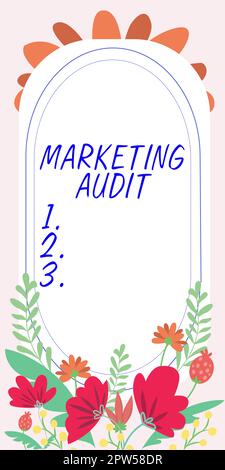 Writing displaying text Marketing Audit, Word Written on examination and analysis of the marketing activities Stock Photo
