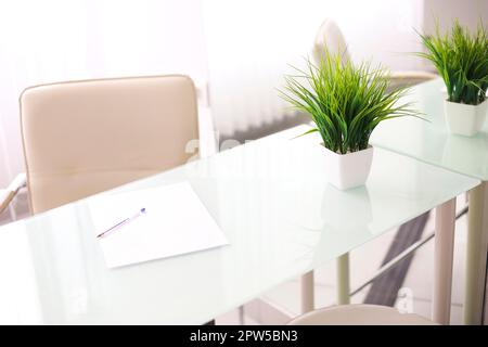 White glass office table with light beige artificial leather chair next to it, against mirror wall background. Tabletop decorated with green plant in Stock Photo