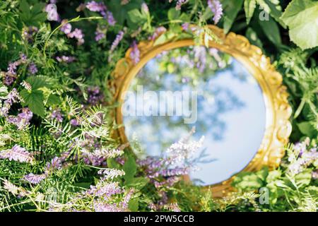 Sky reflection in round mirror on spring field. Nature and eco concept Stock Photo