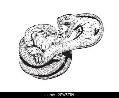 Comics style drawing or illustration of a honey badger fighting biting a king cobra snake on isolated background in black and white retro style. Stock Photo