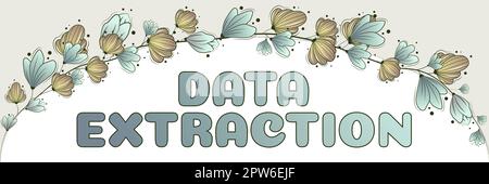 Text sign showing Data Extraction, Business concept act or process of retrieving data out of data sources Stock Photo