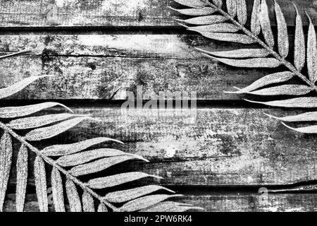 Wooden background from horizontal narrow boards. Two exotic tropical branches with thin palm leaves are located at the edges of the image. Background Stock Photo