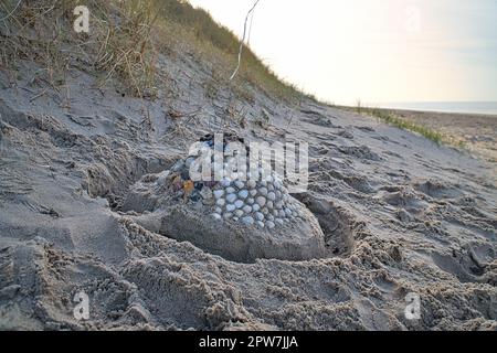 Sand castle with shells and sand. Moat around the castle in front of dunes. On the beach in Denmark by the sea. Landscape photo Stock Photo