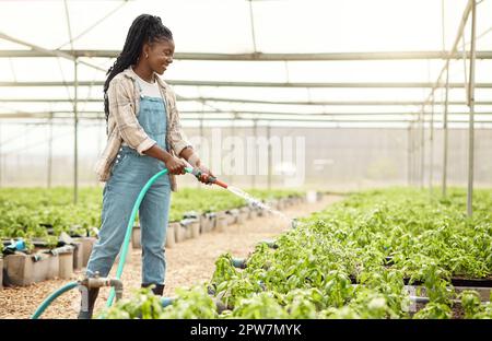 African american farmer watering her plants. Happy farmer watering her growing crops. Young farmer cultivating her garden. Smiling farmer watering pla Stock Photo