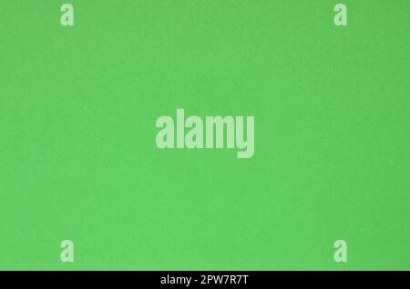 Texture background of fashion pastel color. Green geometric textured paper. Top view. Stock Photo