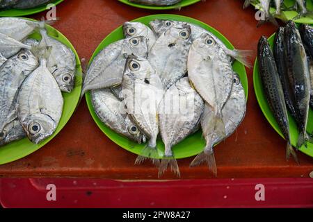 cebu city fish market - vendors selling fresh tasty fish Stock Photo