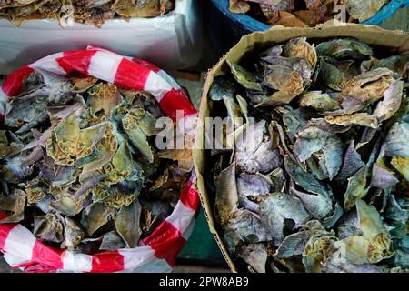 cebu city fish market - vendors selling fresh tasty fish Stock Photo