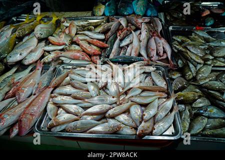 cebu city fish market - vendors selling fresh tasty fish Stock Photo