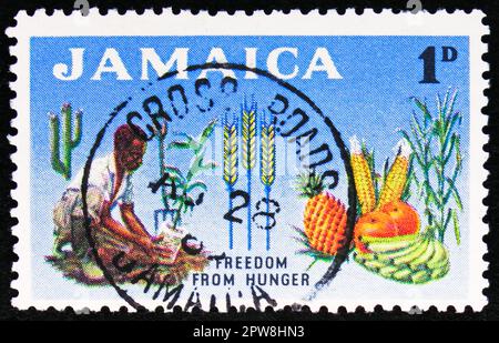 MOSCOW, RUSSIA - APRIL 08, 2023: Postage stamp printed in Jamaica shows Man planting mango tree and produce, Freedom from Hunger serie, circa 1963 Stock Photo