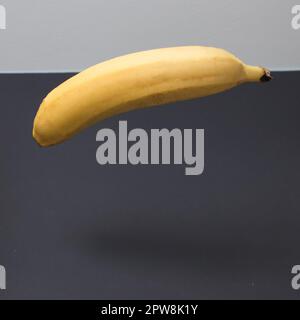 A levitating banana with copy space on a black and white background. Minimal fruit scene. Stock Photo